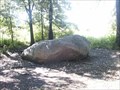 Image for You Are Here: the Big Rock at Morton Arboretum