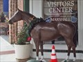 Image for Visitor Center Horse - Marshall, TX