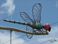 Image for Dragonfly - Columbia, SC