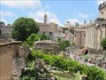 Image for Roman Forum Lucky 7 - Roma, Italy