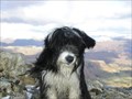 Image for Wetherlam,
