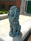 Image for Simmons - Marshall School - Lion Pride - St. Louis, MO