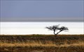 Image for Etosha Pan - Etosha National Park - Namibia