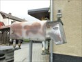 Image for "Cow mailbox"  07387 Krölpa/ Thüringen/ Deutschland