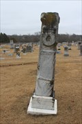 Image for Wm. M. Shannon - Pleasant Grove Cemetery - Climax, TX