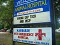 Image for Vet-I-Care Animal Hospital - Jacksonville, Florida