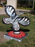 Image for Murray Law Firm Butterfly - Stillwater, OK