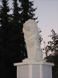 Image for Lions Burgdorf