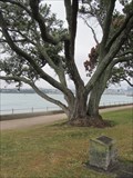 Image for Last Public Execution in New Zealand, Devonport NZ