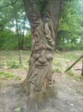 Image for Treebeard - Leersumse Veld, Leersum (NL)