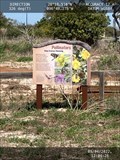 Image for Pollinators Keep Aransas Flowering -- Aransas National Wildlife Refuge, Austwell Texas