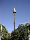 Image for Sydney Tower - Sydney, Australia