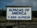 Image for Alpacas of America - Tenino, WA, USA