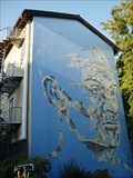 Image for Man's Face - Youth Hostel, Bern, Switzerland