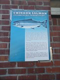 Image for Chinook Salmon  -  Monterey, CA