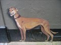 Image for Henry the Greyhound - Bell Lane, Poole, Dorset, UK
