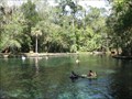 Image for Wekiwa Springs State Park - Apopka, FL