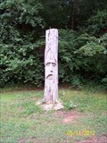 Image for Sad Face in a Tree - Montevallo, AL