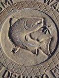 Image for Salmon and Dragonfly Storm Drain Cover, Wenatchee, WA