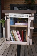 Image for Little Free Library -- Snyder TX