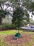 Image for Mark Erdich dedicated tree - The Villages, Florida