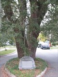 Image for Our Confederate Dead Monument - Conway, South Carolina