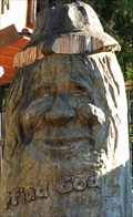 Image for Man's face with cap at the Waldwipfelweg, St. Englmar - Bavaria / Germany