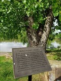 Image for Lewis and Clark Cottonwood Tree - Vanceburg, Kentucky