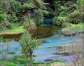 Image for The Blue Spring. Te Waihou Walkway. North Island. New Zealand.