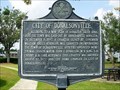 Image for City of Donalsonville-HCC-Seminole Co