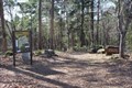 Image for Whispering Pines Nature Trail -- Tyler State Park, Tyler TX