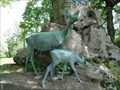 Image for Deers - Oberhof, Germany, TH
