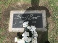 Image for Sonny Bono's Grave - Cathedral City, CA