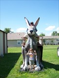 Image for Jackrabbit at Henry's Ra66it Ranch - Staunton, IL