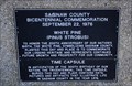 Image for Saginaw County Bicentennial Commemoration time capsule - Saginaw, MI