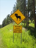 Image for Bighorn Sheep Crossing - Highway 385, South Dakota
