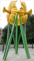 Image for Giant Daffodil's - Bargoed, Caerphilly County Borough, Wales