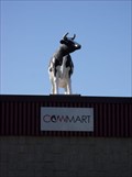 Image for CowMart Cow - Rockville, Minnesota - GONE