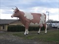 Image for The "BIG" Cow