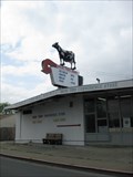 Image for Elevated Cow - Vallejo, CA