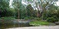 Image for Hunter Region Botanic Gardens Pond Fountain, Raymond Terrace, NSW, Australia