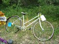 Image for Shahram Moghadamnia's Ghost Bike, Golden, CO