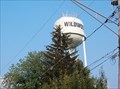 Image for Wildwood Illinois Water Tower