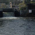 Image for Bowmanville Creek  Fish Ladder, Bowmanville, Ontario