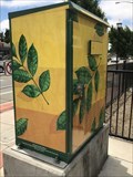 Image for Leaf Box - San Lorenzo, CA