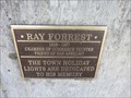 Image for Ray Forrest - San Anselmo, CA