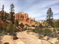 Image for Water Canyon - Scenic Byway 12 - Bryce, UT