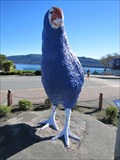 Image for Takahe - Te Anau, New Zealand