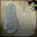 Image for Findings Pavement Trail (Birmingham) - Letter G
