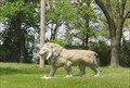 Image for Lion - Troy, MO